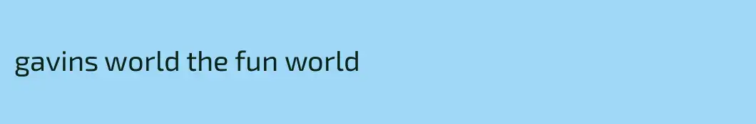 gavins world the fun world